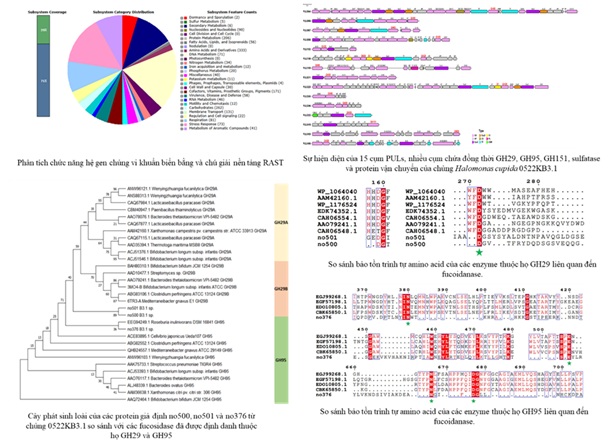 - Ảnh 2. - Ảnh 2.