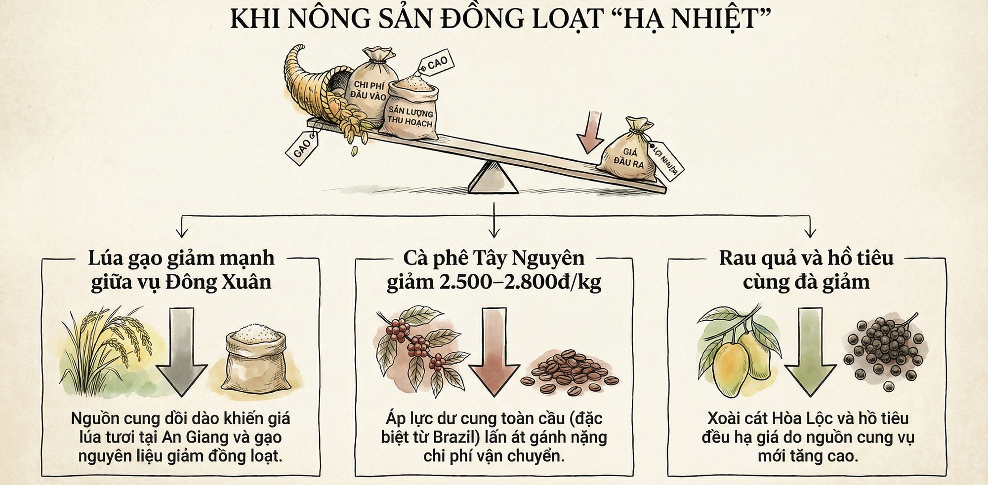 Căng thẳng Trung Đ&ocirc;ng: Ph&acirc;n b&oacute;n tăng sốc, c&oacute; loại vượt 1,1 triệu/bao, n&ocirc;ng sản lại lao dốc, chuyện g&igrave; đang xảy ra? - Ảnh 3.