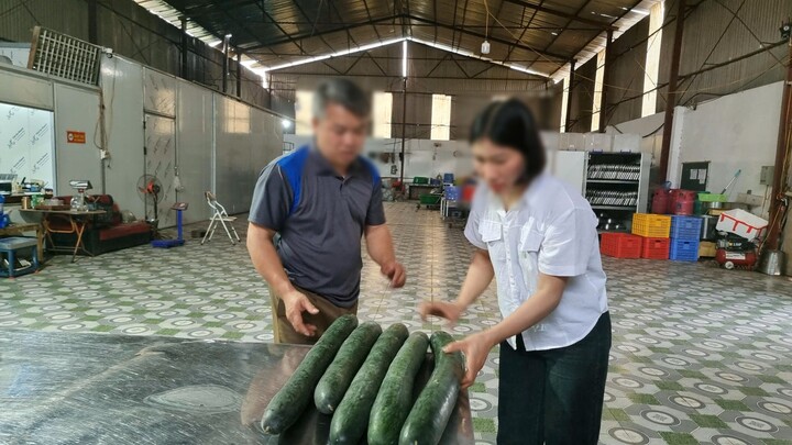 Cơ sở cung cấp thịt lợn nhiễm dịch tả bị phạt 22 , 5 triệu đồng tại Th&aacute;i Nguy&ecirc;n - Ảnh 1.