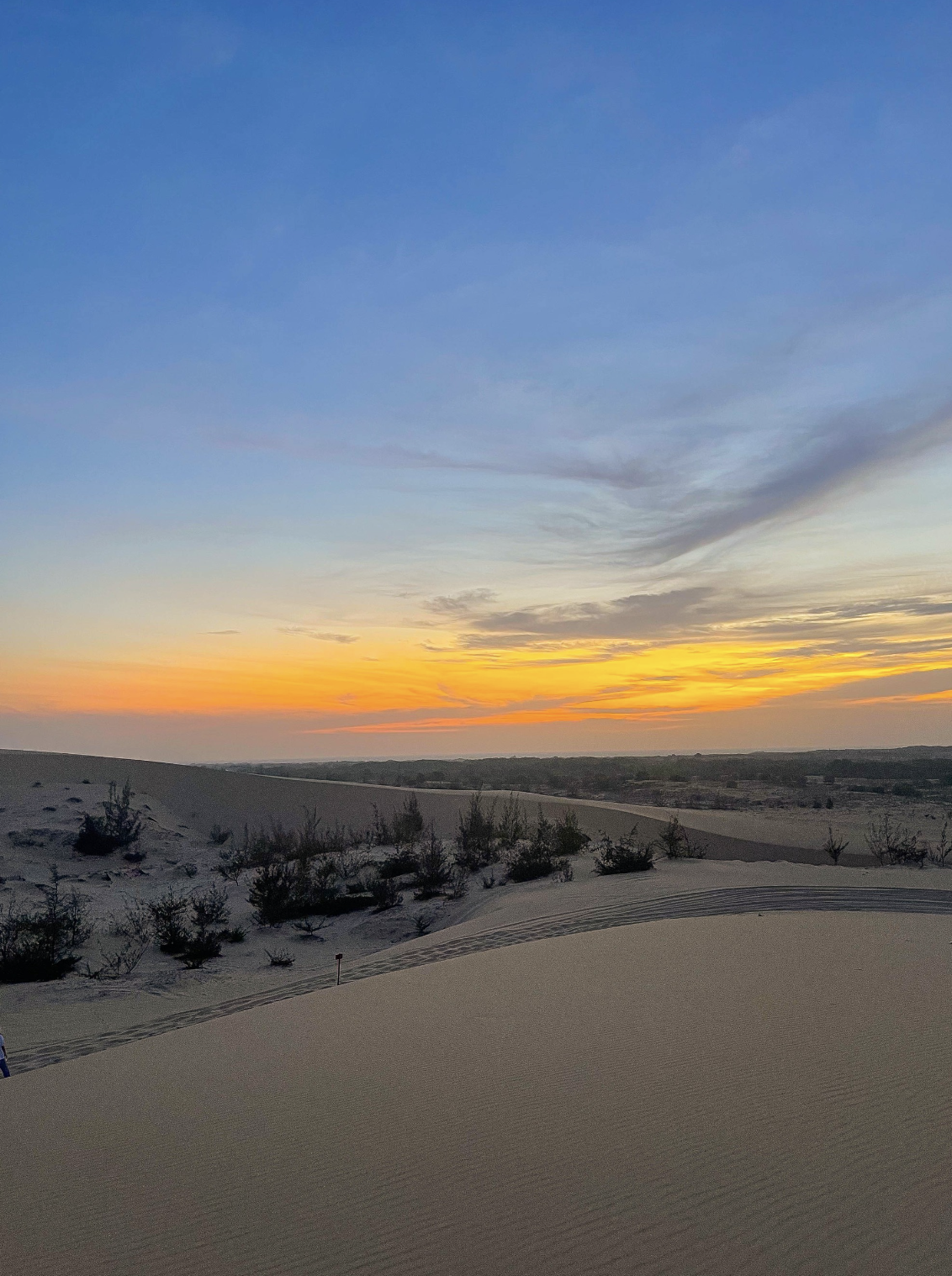 - Ảnh 11. - Ảnh 11.