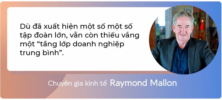 Từ gia công cho Ford, Honda cho đến sự xuất hiện của thế hệ doanh nghiệp tỷ đô Vingroup, FPT, Hòa Phát…: Thấy gì về sự “lột xác” của kinh tế tư nhân Việt Nam? - Ảnh 15.