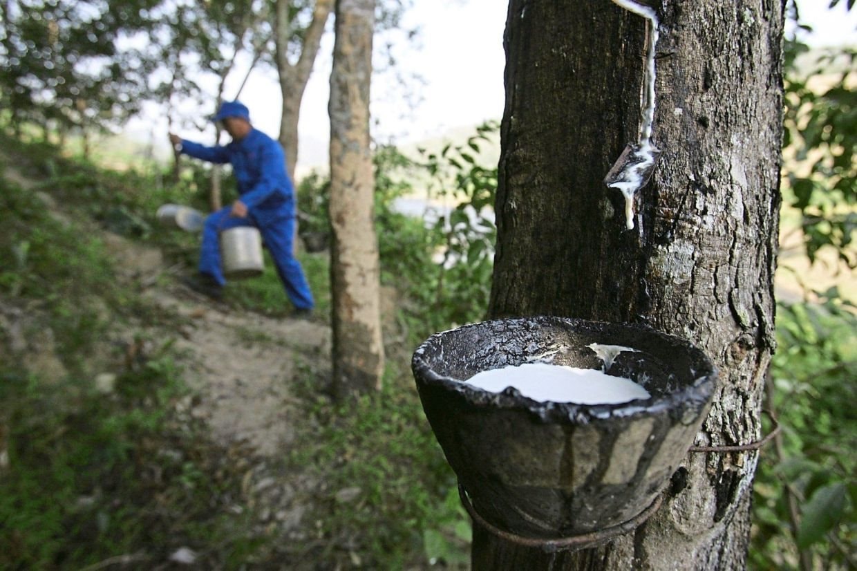 Một nguy&ecirc;n liệu thiết yếu cho ng&agrave;nh &ocirc; t&ocirc; bất ngờ tăng gi&aacute; mạnh nhất 8 năm: Việt Nam đứng thứ 3 thế giới về sản lượng nhưng chưa phải quốc gia hưởng lợi nhất - Ảnh 1.