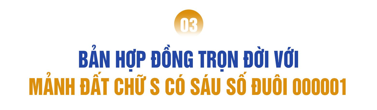 - Ảnh 7.