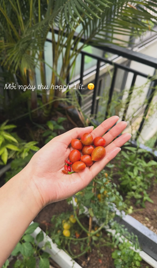 T&igrave;nh trạng khu vườn ở biệt thự mấy chục tỷ tiết lộ sự thật về Do&atilde;n Hải My - Ảnh 11.