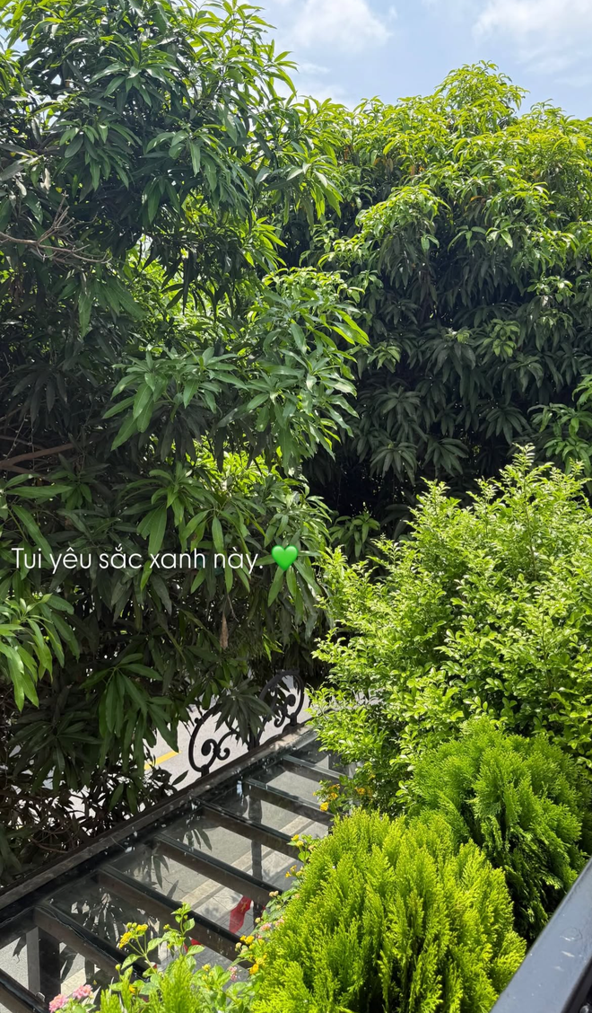 T&igrave;nh trạng khu vườn ở biệt thự mấy chục tỷ tiết lộ sự thật về Do&atilde;n Hải My - Ảnh 21.