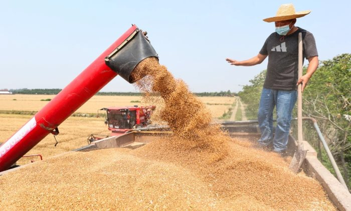Kh&ocirc;ng phải sầu ri&ecirc;ng, Campuchia vừa đ&oacute;n tin cực vui ở mặt h&agrave;ng đang cạnh tranh với Việt Nam - Trung Quốc g&oacute;p c&ocirc;ng lớn - Ảnh 1.
