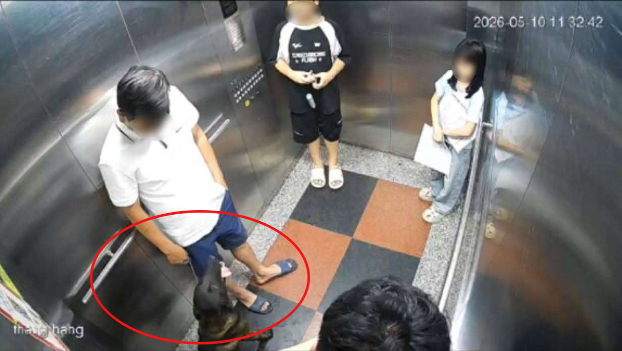 Hà Nội: Bị nhắc đeo rọ mõm cho chó, cư dân đấm gục thành viên bản quản trị chung cư, công an vào cuộc - Ảnh 1.