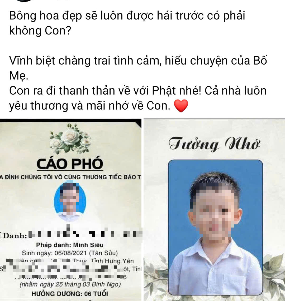 Con trai 6 tuổi tử vong vì viêm màng não mủ, lời tiễn biệt nghẹn lòng của người mẹ - Ảnh 1.