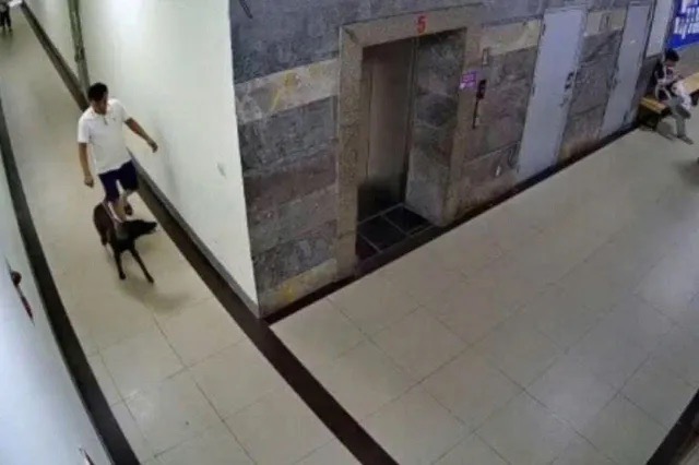Người đ&agrave;n &ocirc;ng bị đấm gục khi nhắc cư d&acirc;n đeo rọ m&otilde;m cho ch&oacute; ở H&agrave; Nội: Ngồi dậy l&agrave; ch&oacute;ng mặt - Ảnh 3.