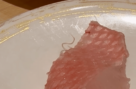 Sinh vật lạ b&ograve; ra từ sashimi tại nh&agrave; h&agrave;ng sushi g&acirc;y hoang mang - Ảnh 1.