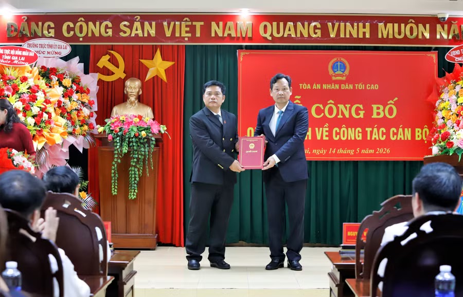 &Ocirc;ng B&ugrave;i Danh Đại được bổ nhiệm Ch&aacute;nh &aacute;n TAND tỉnh Gia Lai năm 2026 - Ảnh 1.
