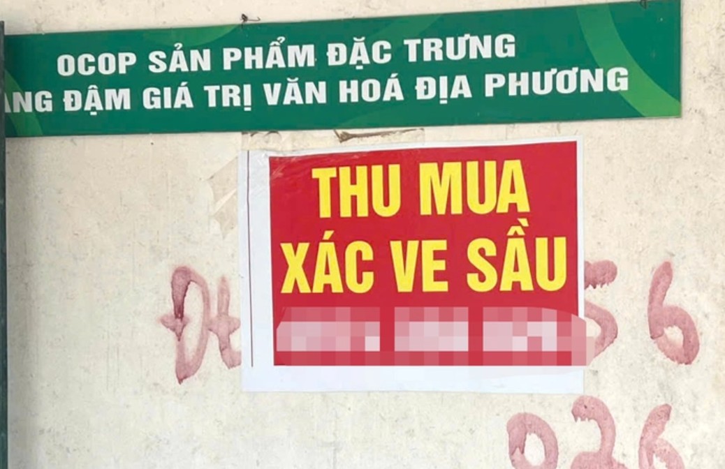  - Ảnh 2.