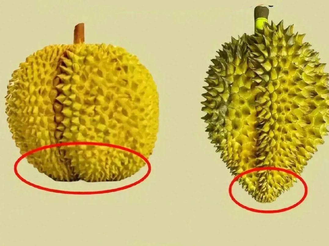  - Ảnh 2.