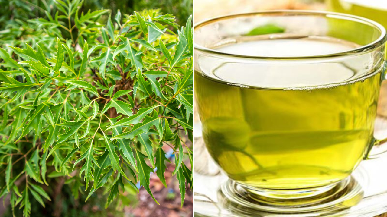 Đinh lăng "bổ như s&acirc;m" nhưng 9 nh&oacute;m người n&agrave;y kh&ocirc;ng n&ecirc;n d&ugrave;ng kẻo rước họa v&agrave;o th&acirc;n - Ảnh 2.