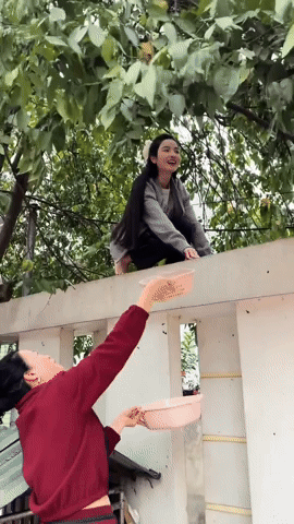Chu Thanh Huyền đến ớt cũng phải đi xin h&agrave;ng x&oacute;m, nh&igrave;n sang Do&atilde;n Hải My ra cửa nh&agrave; h&aacute;i xo&agrave;i cả rổ ăn kh&ocirc;ng ch&aacute;n - Ảnh 10.
