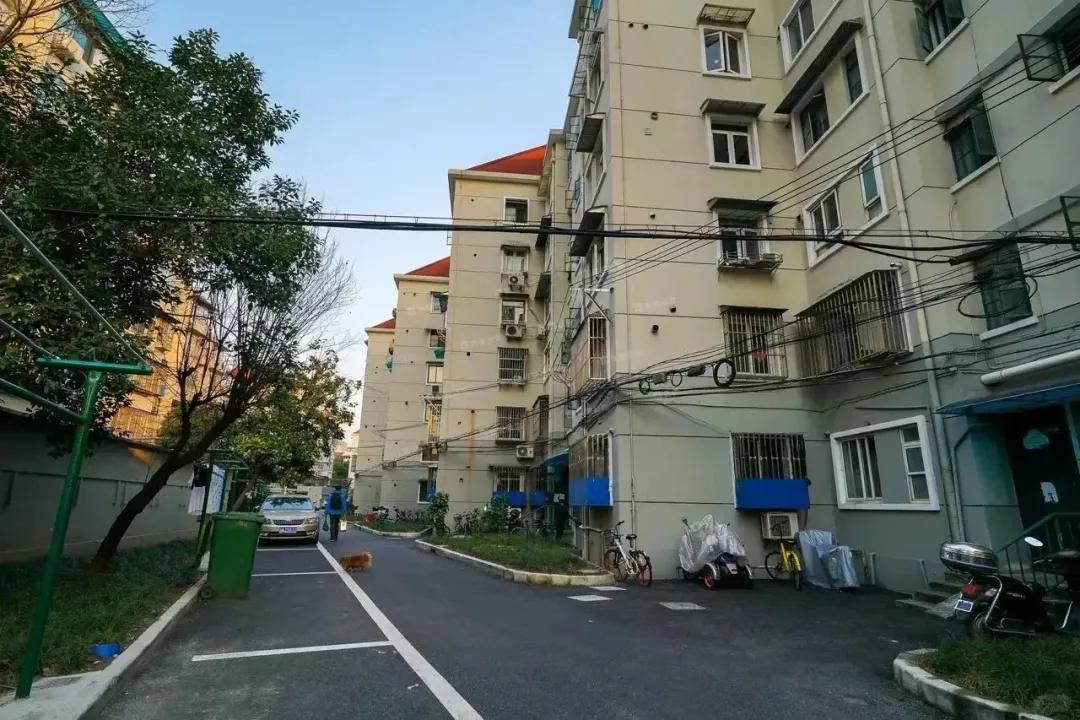 “Nhiều người chê căn hộ tầng 1 vừa cũ vừa tối, nhưng sau nửa năm sống ở đây, tôi thấy mình đã chọn đúng”: Câu chuyện khiến nhiều người suy nghĩ lại về chữ “an cư”- Ảnh 1.