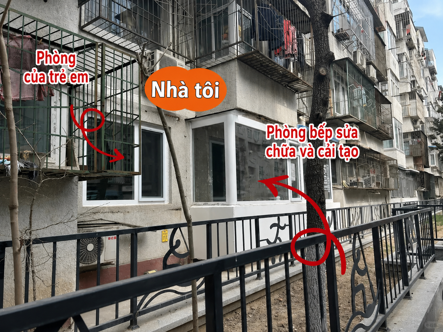 “Nhiều người chê căn hộ tầng 1 vừa cũ vừa tối, nhưng sau nửa năm sống ở đây, tôi thấy mình đã chọn đúng”: Câu chuyện khiến nhiều người suy nghĩ lại về chữ “an cư”- Ảnh 6.