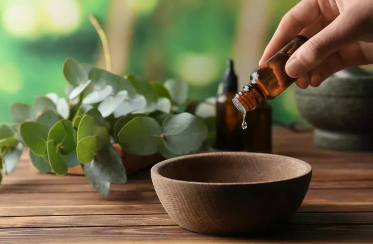 5 loại mùi mà gián rất ghét, ngửi thấy là tránh xa - Ảnh 3.