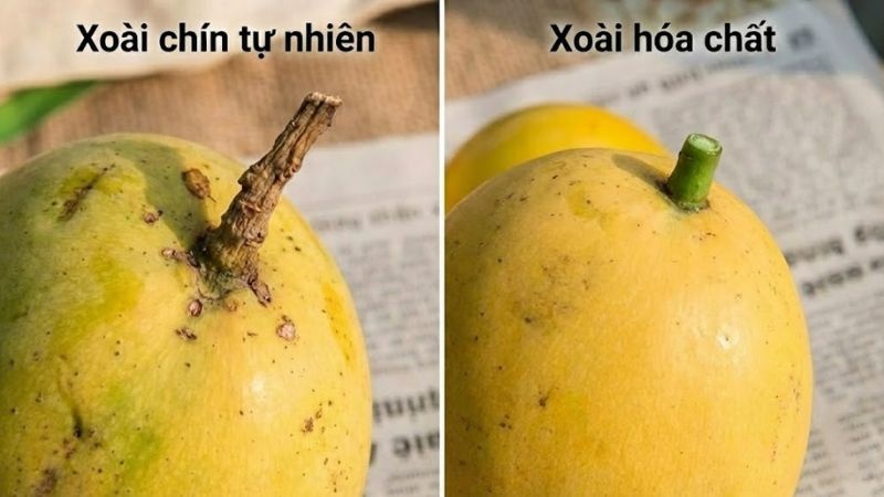 Lời khuyên khi mua xoài - Ảnh 2.