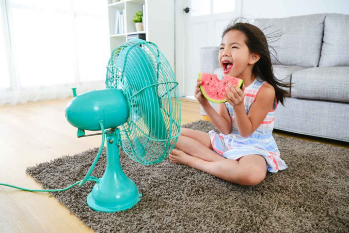 Mẹo làm mát nhà thông minh chỉ bằng quạt điện ngày nắng nóng - Ảnh 1.