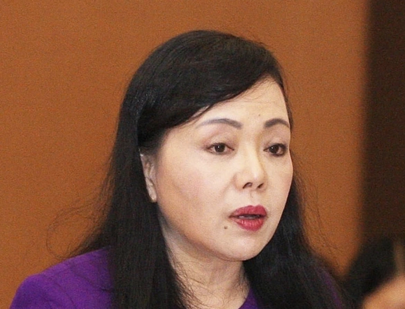 Cựu Bộ trưởng Nguyễn Thị Kim Tiến hầu tòa , gây thiệt hại 804 tỉ đồng - Ảnh 1. Cựu Bộ trưởng Nguyễn Thị Kim Tiến hầu tòa , gây thiệt hại 804 tỉ đồng - Ảnh 1.