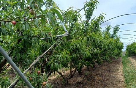 Kh&ocirc;ng phải dầu th&ocirc;, một mặt h&agrave;ng của Iran đang gặp kh&oacute; do xung đột: Mỗi l&ocirc; h&agrave;ng lỗ 50%, Ấn Độ bị &lsquo;vạ l&acirc;y&rsquo; - Ảnh 1.