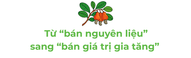 Campuchia, ch&acirc;u Phi đua nhau đưa v&agrave;o Việt Nam một 'b&aacute;u vật' - L&agrave; trợ lực gi&uacute;p nước ta xuất khẩu bỏ xa thế giới - Ảnh 3.
