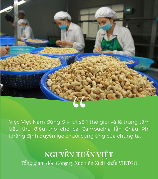 Campuchia, ch&acirc;u Phi đua nhau đưa v&agrave;o Việt Nam một 'b&aacute;u vật' - L&agrave; trợ lực gi&uacute;p nước ta xuất khẩu bỏ xa thế giới - Ảnh 6.