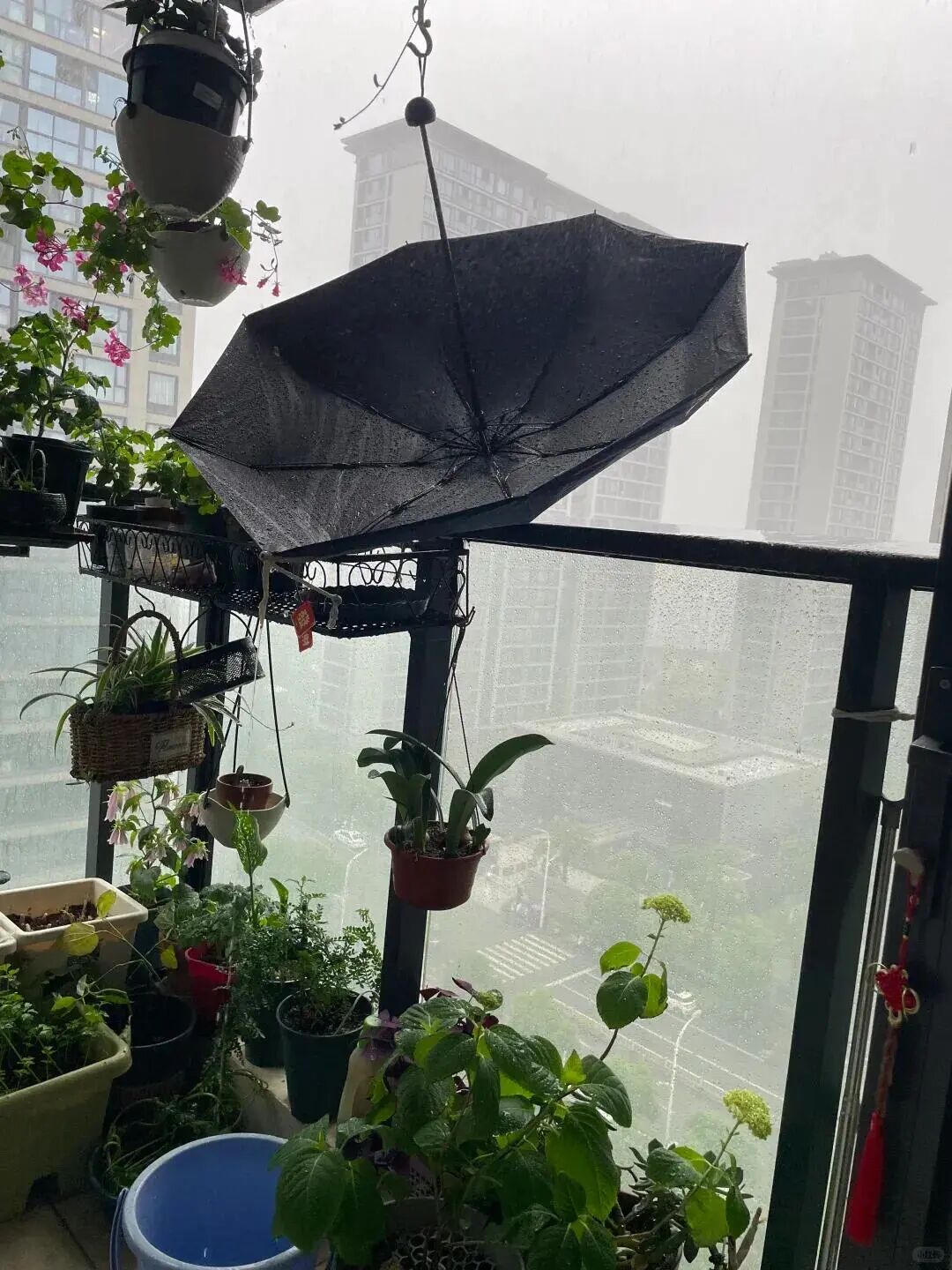 Sau 1 năm d&ugrave;ng ban c&ocirc;ng mở, t&ocirc;i hiểu v&igrave; sao nhiều người muốn đ&oacute;ng lại- Ảnh 4.