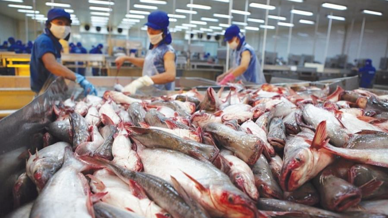 Một đặc sản Việt đang 'đổi vận' nhờ sức mua khủng từ nước l&aacute;ng giềng: Thu về hơn 500 triệu USD trong qu&yacute; I  - Ảnh 3.