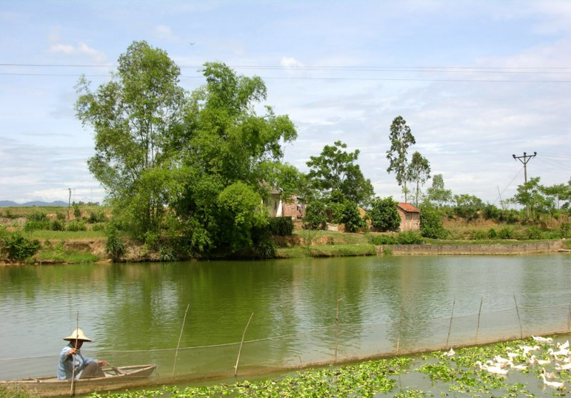 Tôi nhất quyết cấm mẹ tái hôn ở tuổi gần 50, cho đến ngày gặp người đàn ông ấy và chết lặng vì một sự thật từ 17 năm trước- Ảnh 1.