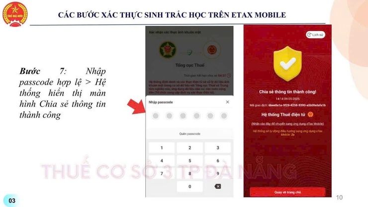 Quy định mới  - Ảnh 4.