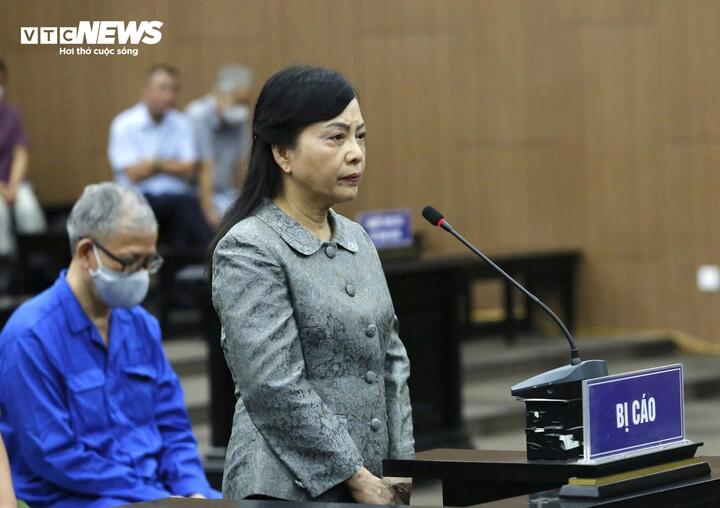 Cựu Bộ trưởng Y tế Nguyễn Thị Kim Tiến bị đề nghị 5 - 6 năm t&ugrave; về Vi phạm quản l&yacute; t&agrave;i sản Nh&agrave; nước - Ảnh 1.