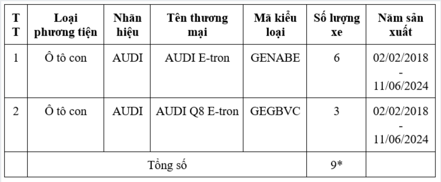 Thu hồi 2 dòng xe Audi tại Việt Nam do lỗi phanh - Ảnh 1.