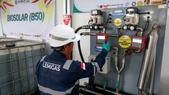 Một mặt hàng được dự báo trở thành 'của hiếm' ở Đông Nam Á vì nhiên liệu sinh học - đó là gì? - Ảnh 3. Một mặt hàng được dự báo trở thành 'của hiếm' ở Đông Nam Á vì nhiên liệu sinh học - đó là gì? - Ảnh 3.
