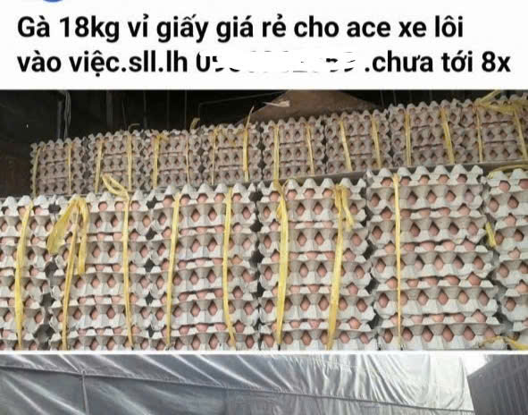 Trứng gà cận date phá thị trường, chủ trang trại lỗ tiền tỉ - Ảnh 1.