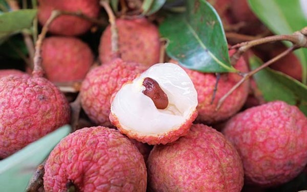 Loại quả "quốc d&acirc;n" v&agrave;o m&ugrave;a h&egrave; nhưng b&aacute;c sĩ cảnh b&aacute;o kh&ocirc;ng n&ecirc;n ăn c&ugrave;ng 2 thứ n&agrave;y: C&oacute; thể l&agrave;m mất vitamin C, tăng nguy cơ tụt đường huyết nguy hiểm- Ảnh 2.