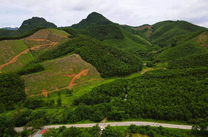 Dừng việc đưa 13 ha đất đầu nguồn nước vào đấu giá mỏ đất ở Thanh Hóa - Ảnh 1.