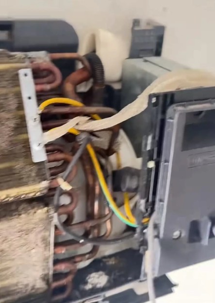 Mở máy lạnh để kiểm tra, người đàn ông sững lại trước cảnh tượng rợn người: Ai xem cũng nổi da gà! - Ảnh 1. Mở máy lạnh để kiểm tra, người đàn ông sững lại trước cảnh tượng rợn người: Ai xem cũng nổi da gà! - Ảnh 1.