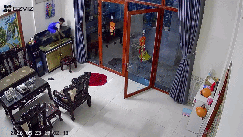 "T&aacute;i mặt" ph&aacute;t hiện con nh&agrave; h&agrave;ng x&oacute;m tr&egrave;o v&agrave;o bể bắt c&aacute; ở Thanh H&oacute;a: Chủ nh&agrave; tiết lộ chuyện ph&iacute;a sau - Ảnh 1.