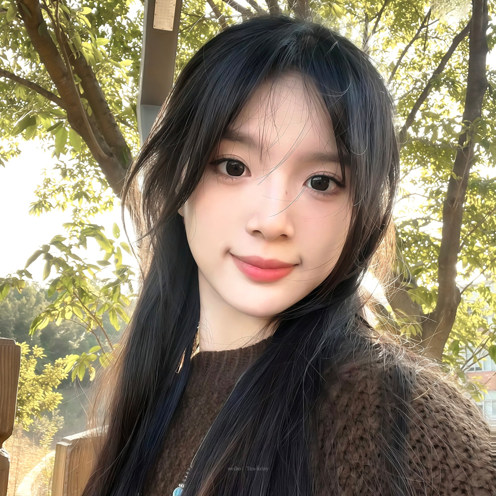  - Ảnh 6.