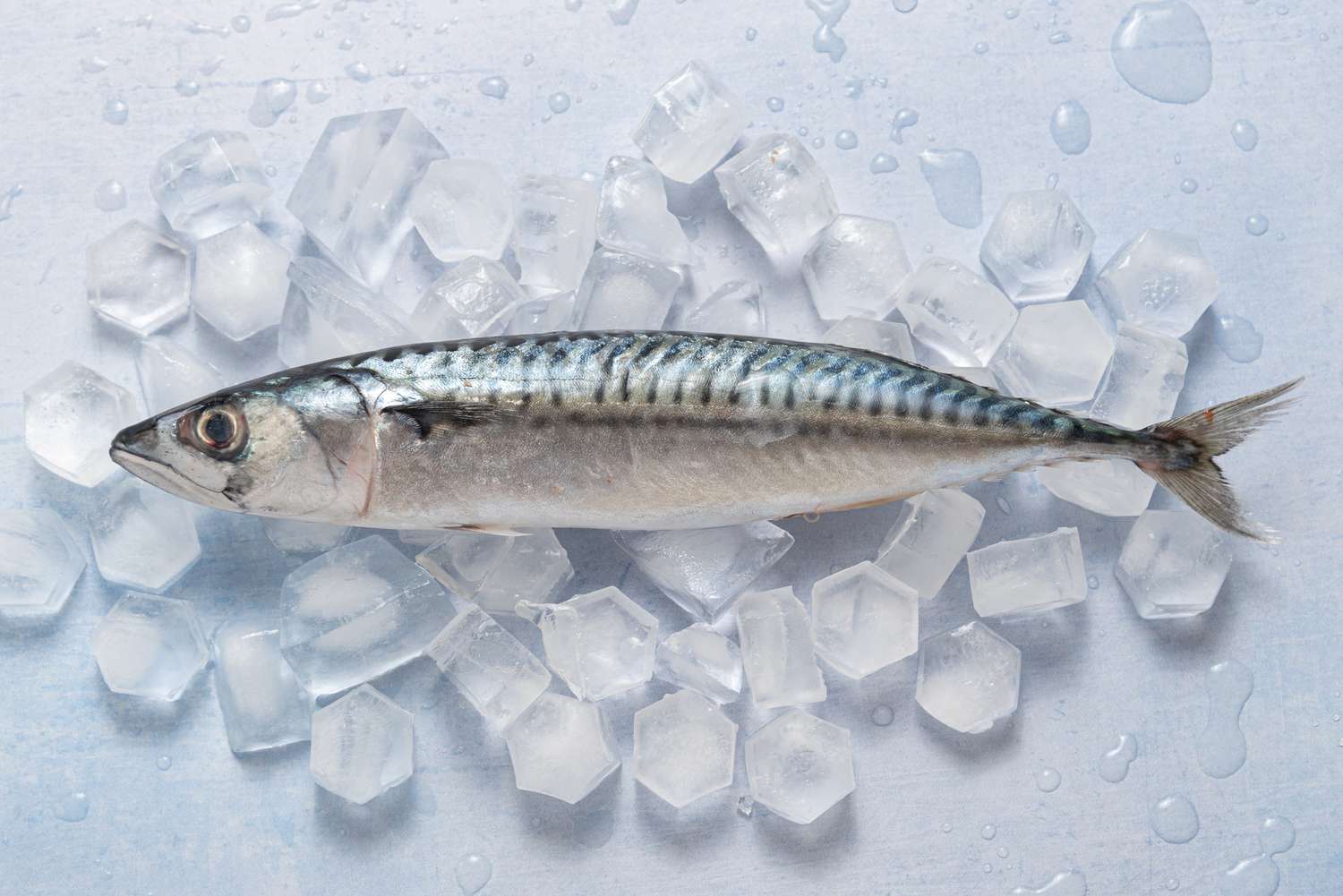 Tưởng cá hồi là “vua” omega-3, hóa ra vẫn thua loại cá bình dân được bán đầy chợ Việt - Ảnh 1. Tưởng cá hồi là “vua” omega-3, hóa ra vẫn thua loại cá bình dân được bán đầy chợ Việt - Ảnh 1.