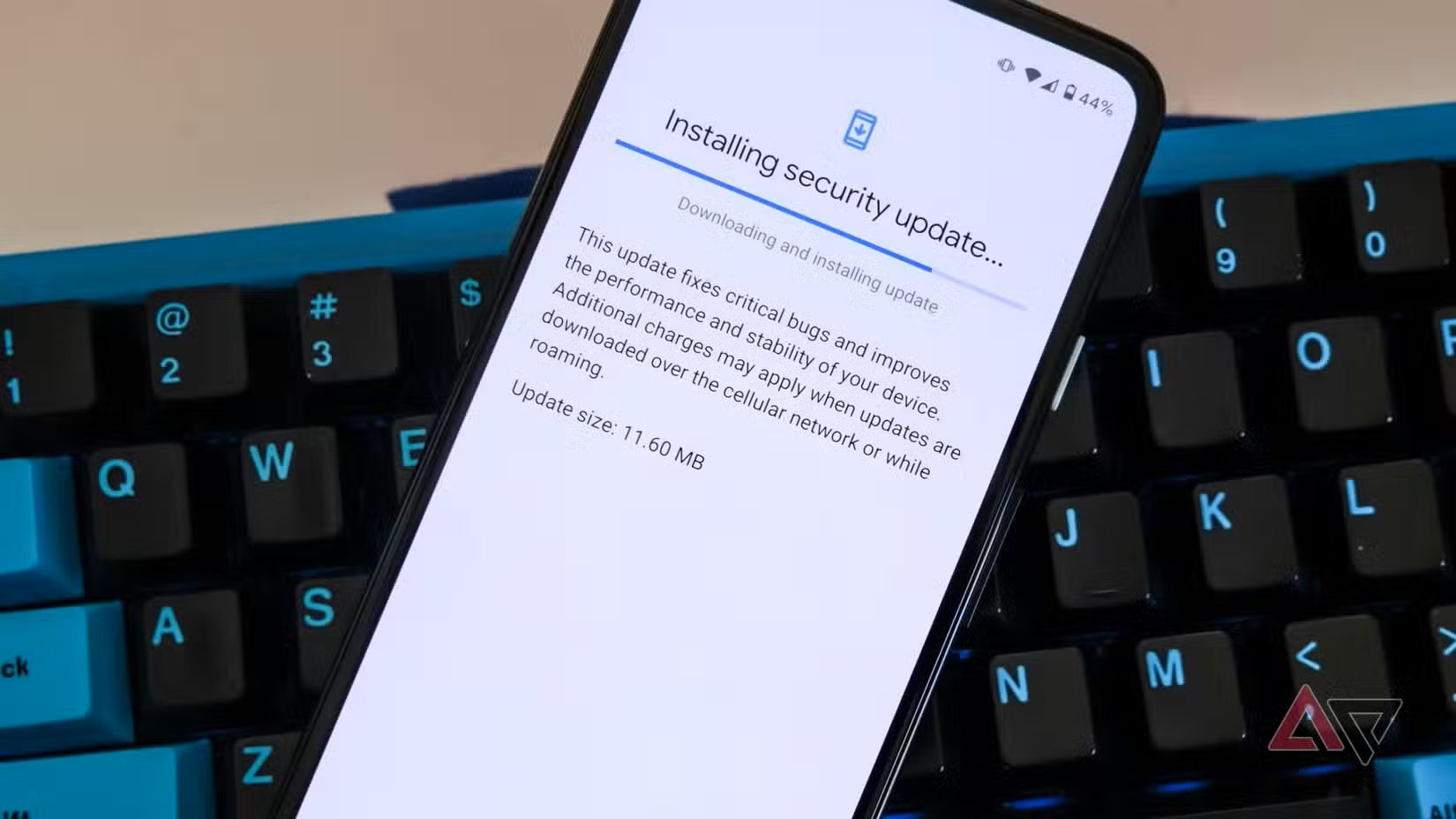  - Ảnh 1.