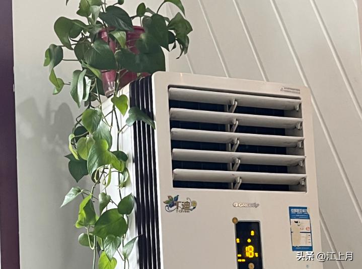 Trước khi bật điều h&ograve;a, người kh&eacute;o thường đặt th&ecirc;m 2 thứ n&agrave;y trong ph&ograve;ng: Vừa dễ ngủ vừa đỡ kh&ocirc; da - Ảnh 2.