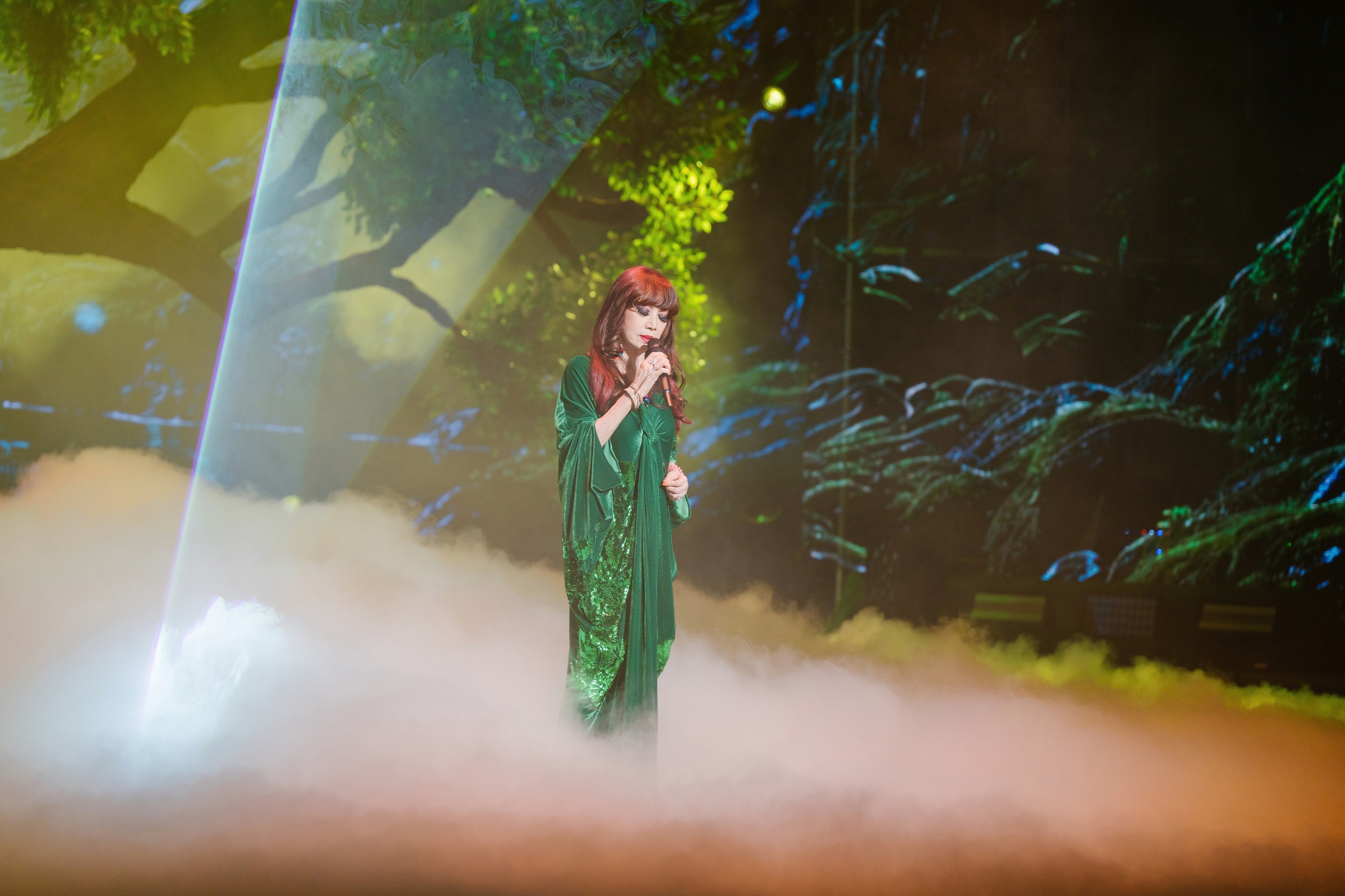 D&agrave;n nghệ sĩ g&oacute;p mặt trong concert về thi&ecirc;n nhi&ecirc;n sắp l&ecirc;n s&oacute;ng VTV - Ảnh 6.