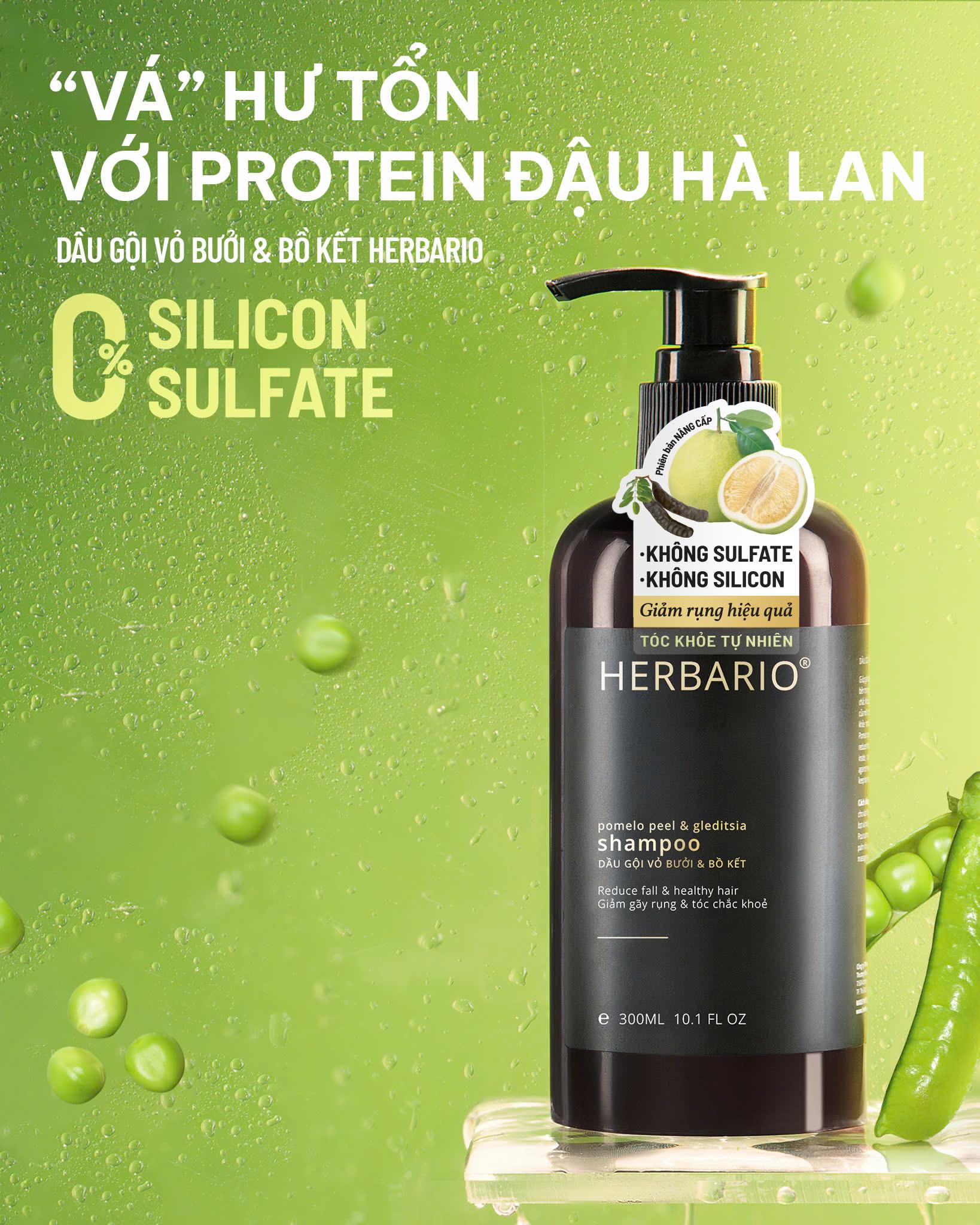 Những cú sốc khi mới đổi sang dầu gội thuần chay và bí quyết kiên trì để nhận quả ngọt - Ảnh 3. Những cú sốc khi mới đổi sang dầu gội thuần chay và bí quyết kiên trì để nhận quả ngọt - Ảnh 3.