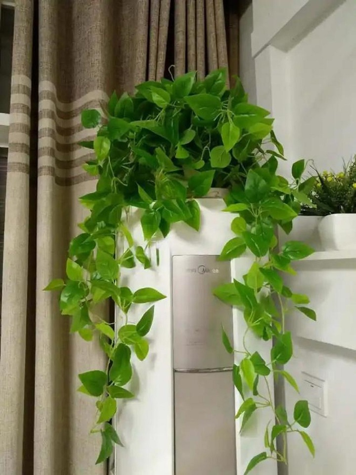 Sử dụng điều h&ograve;a v&agrave;o m&ugrave;a h&egrave;, 3 thứ cần c&oacute; để bảo vệ sức khỏe - Ảnh 6.