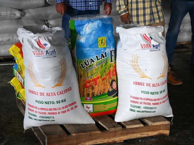 Cuba áp dụng 'bí quyết' trồng lúa của Việt Nam, thu kết quả khiến lãnh đạo bất ngờ - Ảnh 2. Cuba áp dụng 'bí quyết' trồng lúa của Việt Nam, thu kết quả khiến lãnh đạo bất ngờ - Ảnh 2.