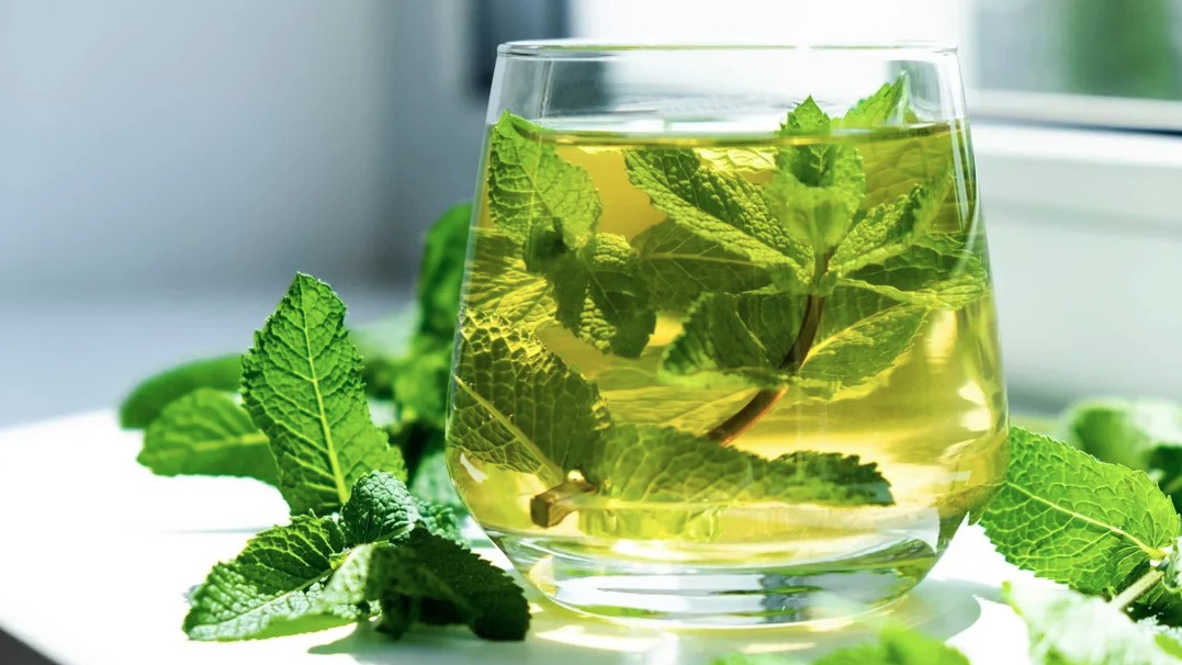 Thức uống “cứu tinh” mùa nóng được chuyên gia khuyên dùng: Uống vào thấy mát tức thì- Ảnh 1.