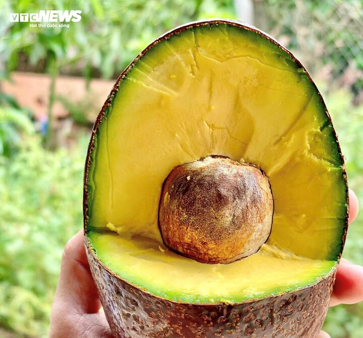 Bơ 160.000 đồng/kg vẫn &lsquo;ch&aacute;y h&agrave;ng&rsquo;, kh&aacute;ch muốn mua phải đặt trước cả th&aacute;ng - Ảnh 6.